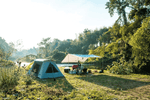 June Campsite Weed Safety: Avoid Burweed Cuts & Gear Damage | LETWESAF Camping Safety Tips