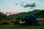 Bat Camping Safety: Prevent Nighttime Intrusions & Manage Rabies Exposure | LETWESAF Camping Safety Tips