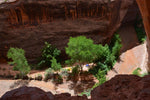 Canyon de Chelly National Monument Camping | Navajo High-Desert Gorge Camping with LETWESAF