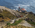 Wilderness Preparedness: Exploring Point Reyes Remote Seashore Camping With Confidence