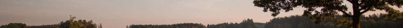 Are You Dehydrated? 4 Easy Signs Every Camper Should Learn | LETWESAF Camping Safety Tips