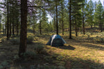 Wooded Backcountry Camping: Solitary Wilderness Travel in Beaverhead-Deerlodge National Forest