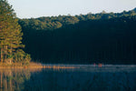 Where the Pines Meet the Ponds: A Fishing Camp at Nickerson State Park