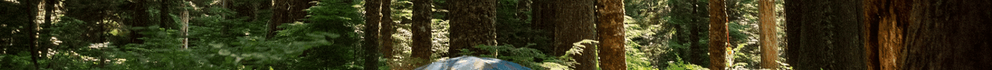The Hidden Dangers Around Your Campsite After Dark | LETWESAF Camping Tips