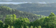 Camping Between the Pines and the River: A Weekend at Ouachita National Forest