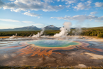 Stay Safe in Yellowstone: LETWESAF Radar Protects You in the Wild