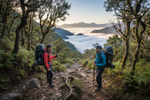 Mid-May Morning Fog Camping: Hiking Trail Marking & Fog Navigation |LETWESAF Camping Safety Tips