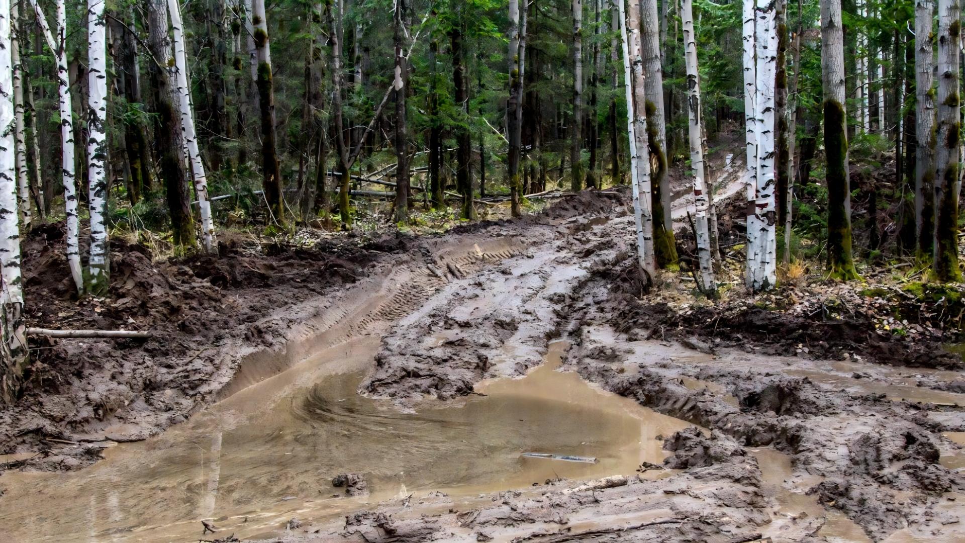 Fall Off-Road Camping: When a Wet Trail Is a Sign to Turn Around