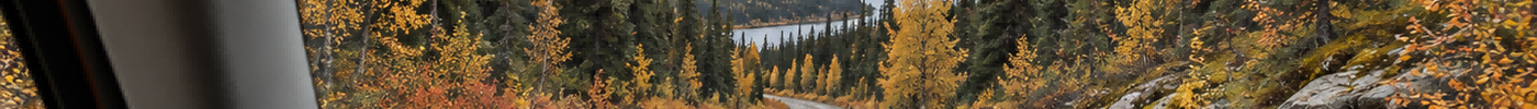 Chasing Fall on the Back Roads: An Off-Road Weekend With LETWESAF