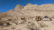 Guadalupe Mountains National Park Camping | High-Desert Sky Island Camping with LETWESAF