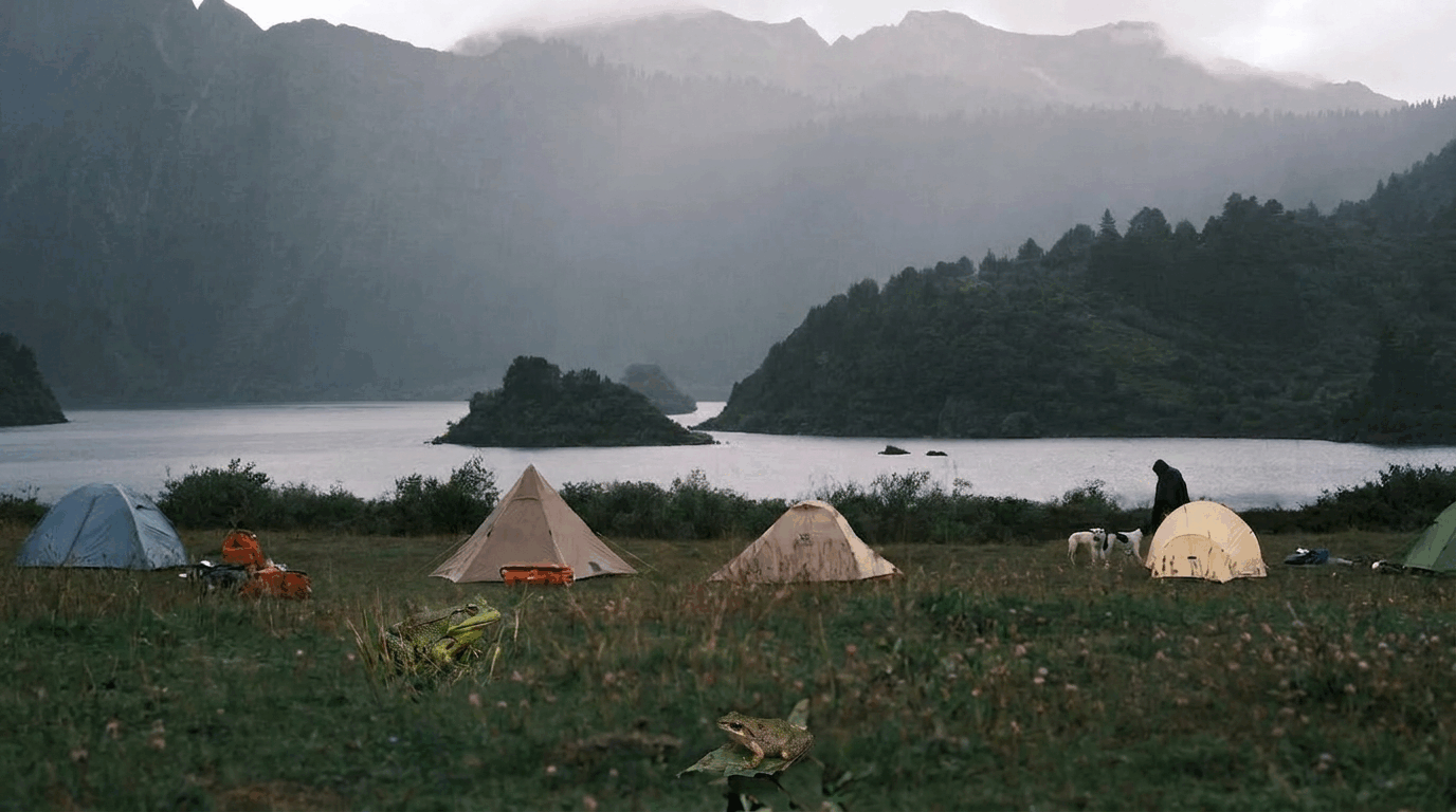 7 Humane Ways to Deter Amphibians While Summer Camping | LETWESAF Camping Safety Tips