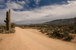 Saguaro National Park Camping | Sonoran Desert Hike-In Site Experience with LETWESAF