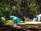 Critical Toddler Dehydration Signs & Camping Hydration Guide | LETWESAF Camping Safety Tips