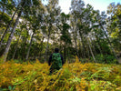 The Forest Survival Trio: Whistle, High Ground, Backtracking | LETWESAF Camping Safety Tips