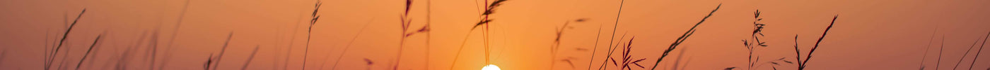 Chasing Golden Hour: Solitary Camping and Prairie Photography in Kansas’ Last Grassland