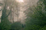 Morning Fog Safety: Avoid Summer Trail Deviation | LETWESAF Camping Tips