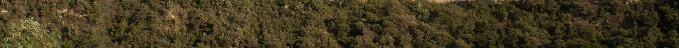 Camping and Paddling Buffalo National River: A Summer River Adventure I Will Never Forget