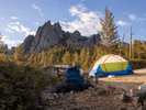 Wildlife Scent Safety: Stop Night Campsite Invasion | LETWESAF Tips