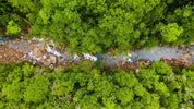 Wooded Hollows & Spring Waters: Off-Grid Camping in Ozark National Scenic Riverways