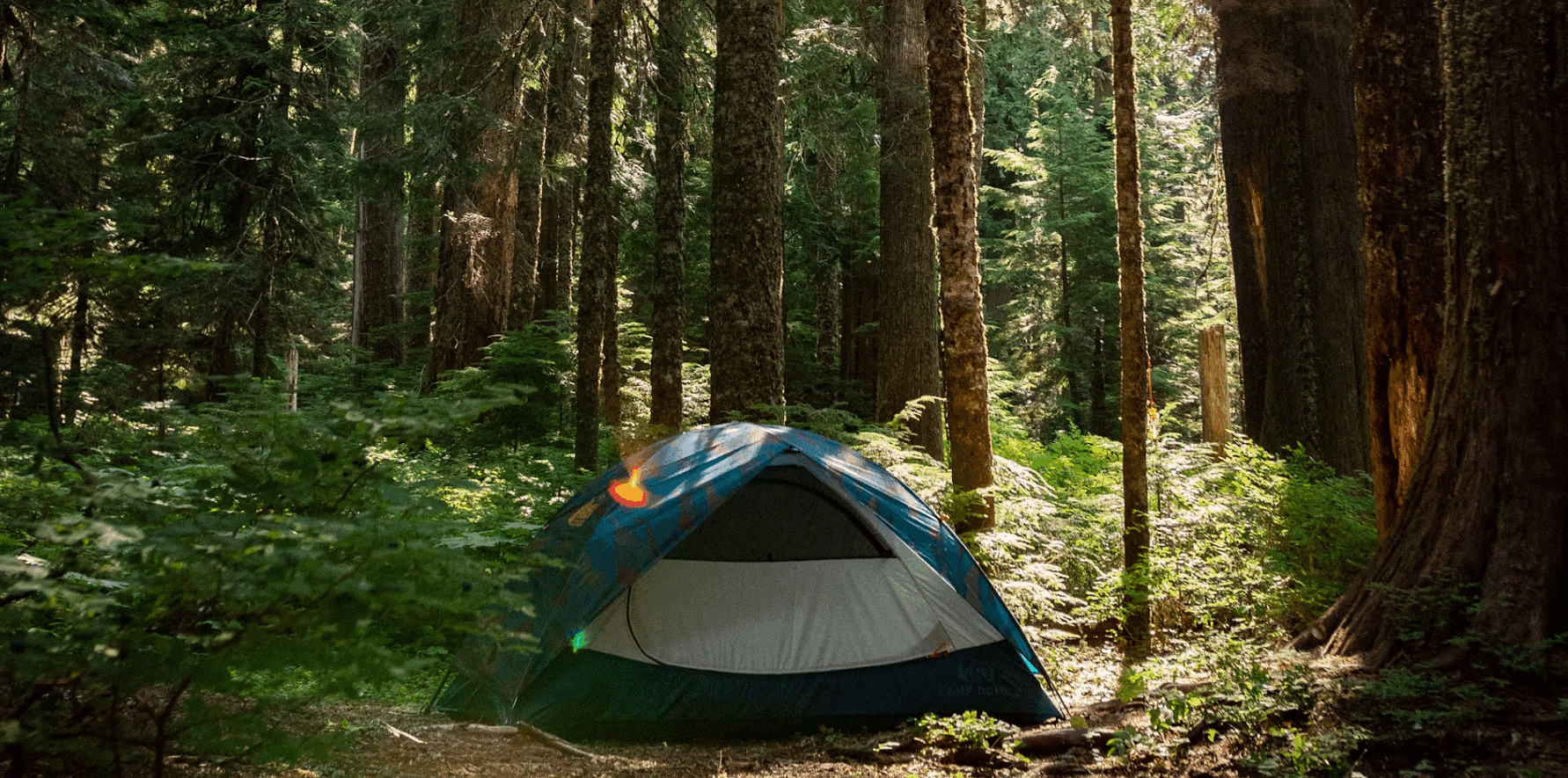 The Hidden Dangers Around Your Campsite After Dark | LETWESAF Camping Tips