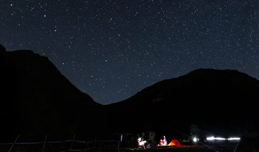 Why Animals Come Close to Your Campsite After Dark — And What Actually Attracts Them | LETWESAF Camping Tips