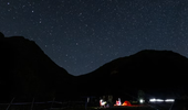 Why Animals Come Close to Your Campsite After Dark — And What Actually Attracts Them | LETWESAF Camping Tips