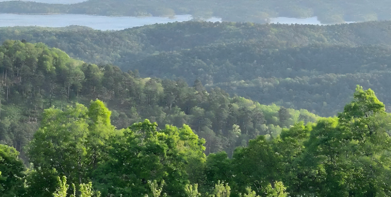 Camping Between the Pines and the River: A Weekend at Ouachita National Forest