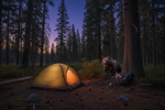 Fatal Bear Attack in Arkansas Sparks New Concerns About Camping Safety