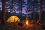 How to Avoid Snake Encounters While Spring Camping LETWESAF Camping Safety Tips