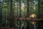 Travel with LETWESAF: Camping in Congaree National Park